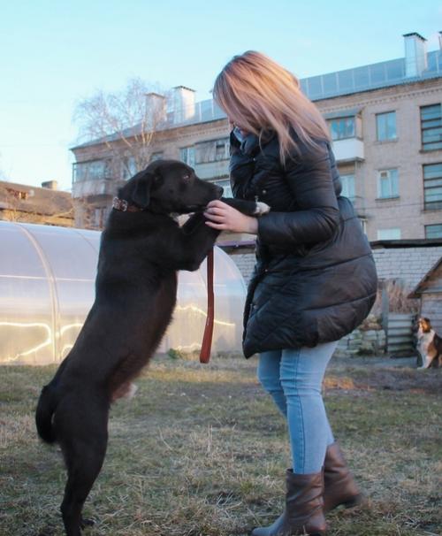 Мы продолжаем поиски дома. 03