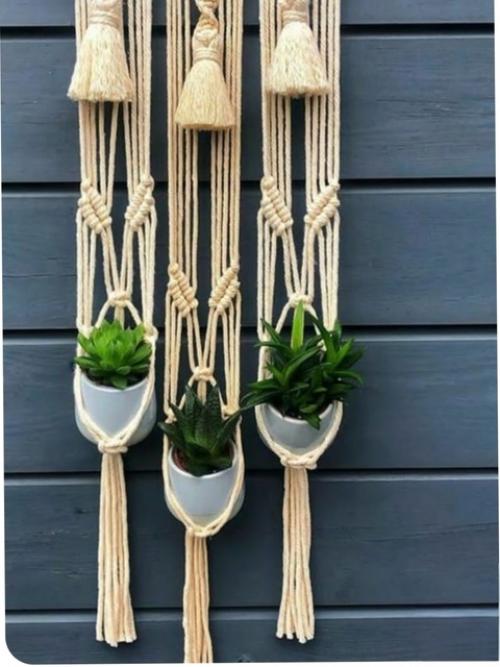 Какое кашпо украсит твой дом? 05