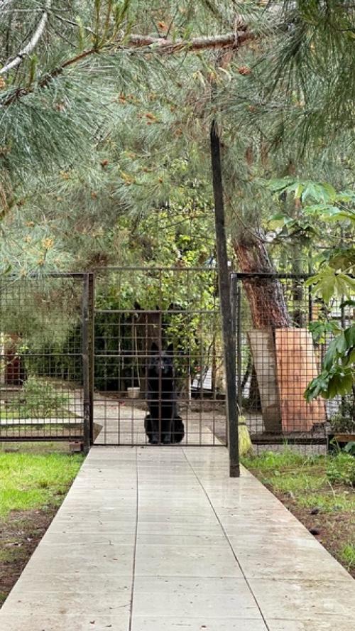 Почему люди Абхазию недооценивают. 06 Почему люди Абхазию недооценивают. 06