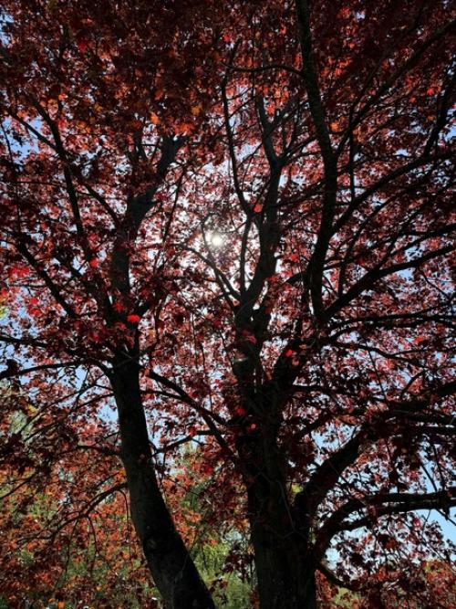 Наш небольшой отпуск к концу подошел. 02