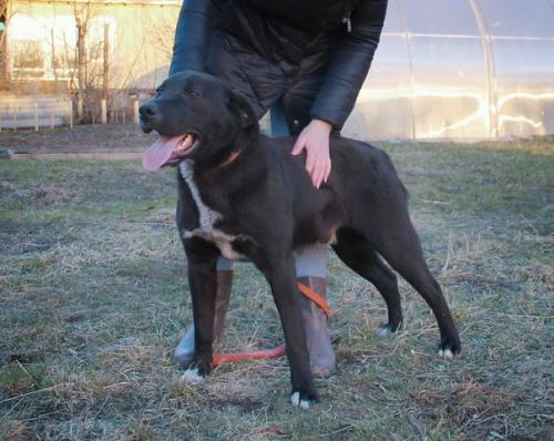 Мы продолжаем поиски дома. 01