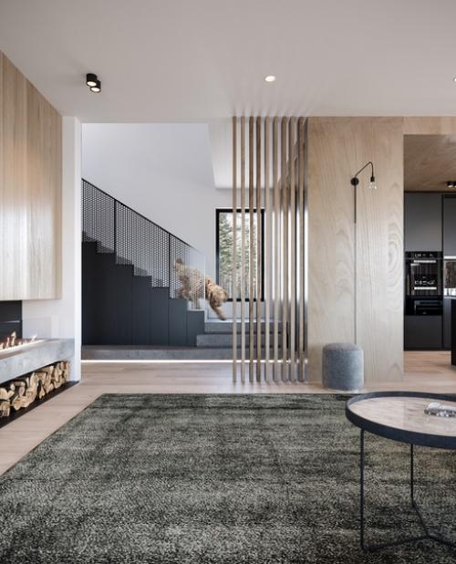 Загородный дом в коттеджном поселке Северная Жемчужина. 03