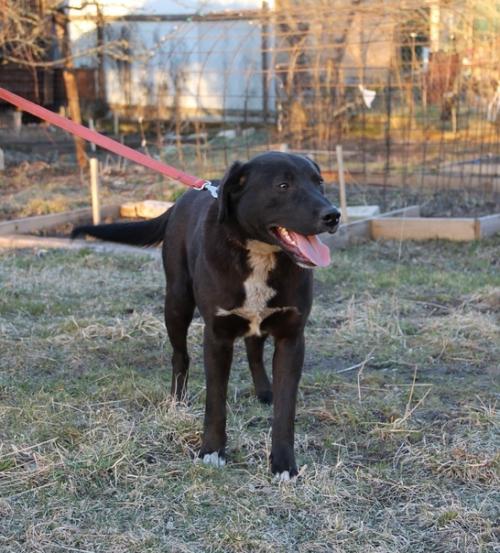 Мы продолжаем поиски дома. 06