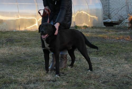 Мы продолжаем поиски дома. 02