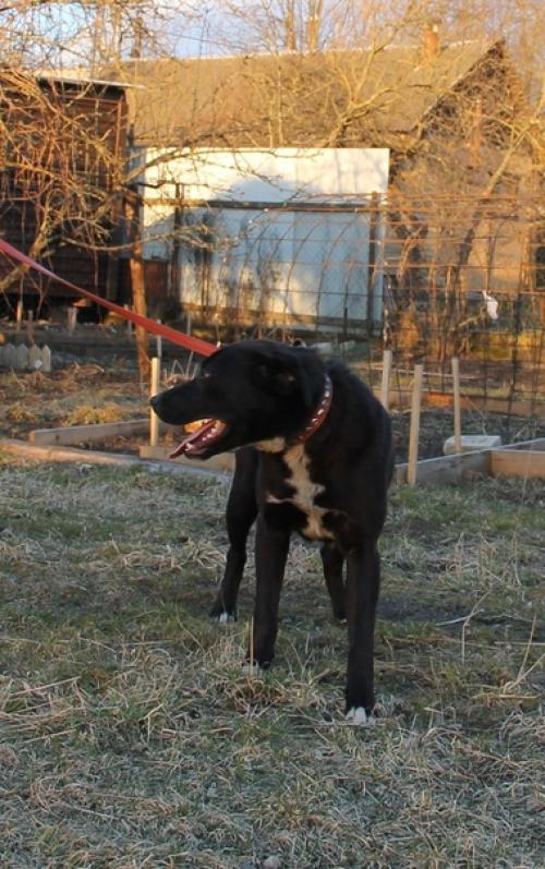 Мы продолжаем поиски дома. 07