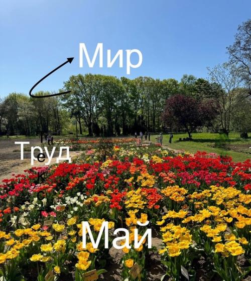 Наш небольшой отпуск к концу подошел. 01