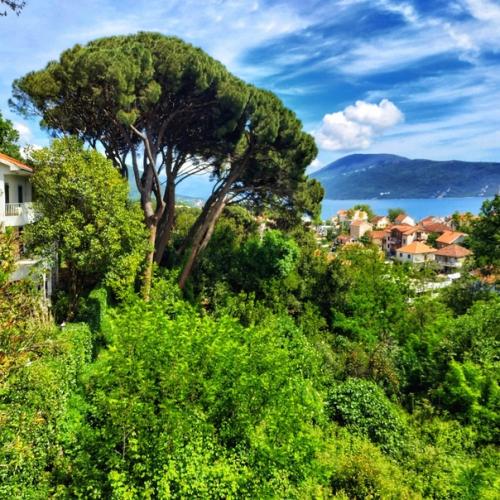 Нюансы жизни в Черногории. 06 Нюансы жизни в Черногории. 06