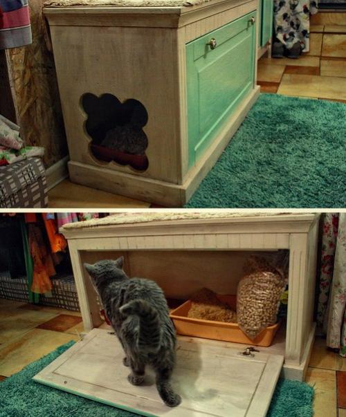 Как сделать крутой кошачий туалет? 02