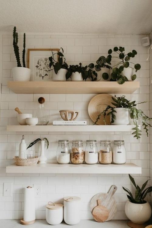 Растения в сканди стиле. 02