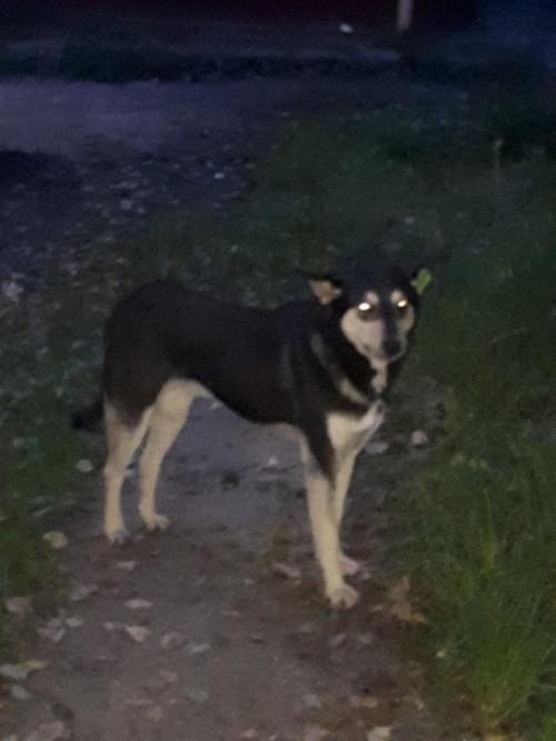 Доброе утро!   А мне кажется, напрасного на свете так мало.