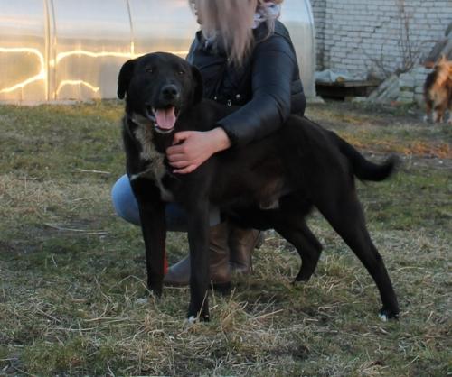 Мы продолжаем поиски дома.