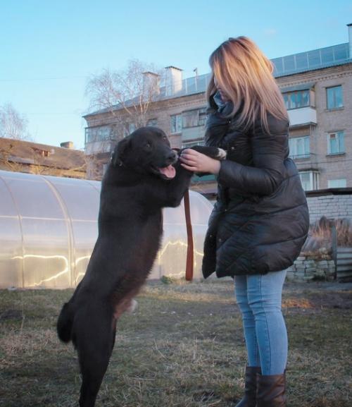 Мы продолжаем поиски дома. 04