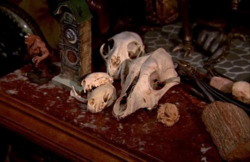 В одном доме с монстрами: коллекция режиссера Гильермо дель торо. 07