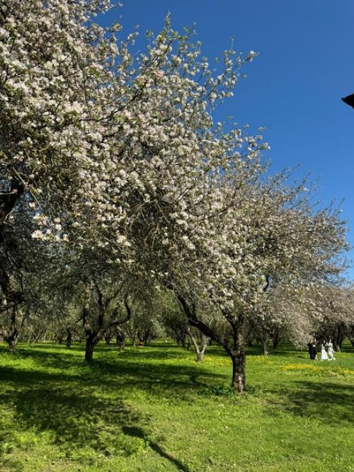 Наш небольшой отпуск к концу подошел. 03