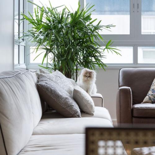 Лёгкая и светлая квартира в Бразилии. 03