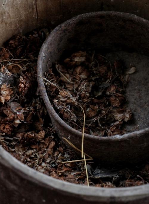 Пустые залы нероновской усадьбы. 03