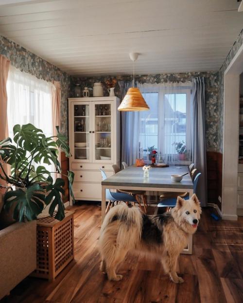 В гостях, в уютном загородном доме черничного цвета Иры Irapozdeeva, которая живет в нем со своим мужем, двумя детьми и собакой Ханной. 05