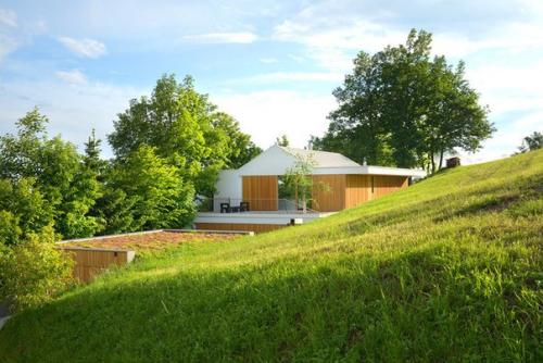 Дом в сердце дикой природы в Словении. 08