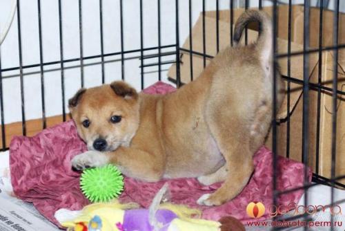 4 часть.  На новом месте. 08