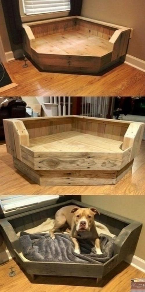 Идеи спальных мест для ваших питомцев. 01