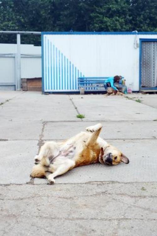 4 часть.  На новом месте. 06