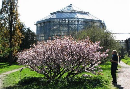 Маршрут на день: петроградская сторона. 02