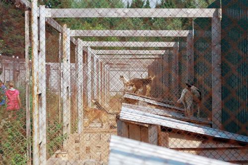 4 часть.  На новом месте. 02