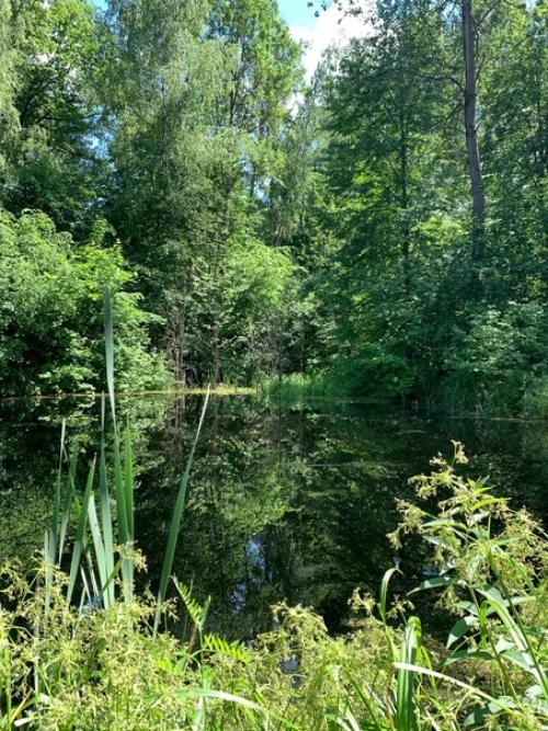 Идеи для выходного дня. 06