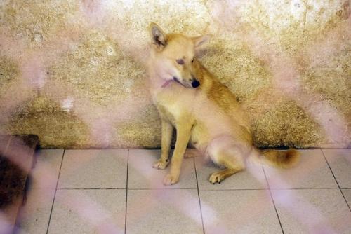 4 часть.  На новом месте. 07