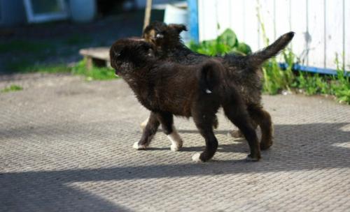 4 часть.  На новом месте. 09