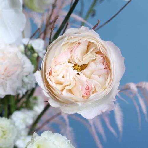 Ставить растения и цветы дома - это не только приятное украшение интерьера, но и полезная практика для здоровья и настроения. 02