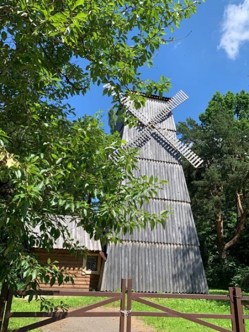 Идеи для выходного дня. 07