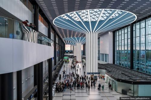 Аэропорт в Новосибирске благовест_приобретённого толмачёво. 02