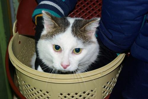 Внимание!  Акция по две штуки в одни руки, третья в подарок! 01