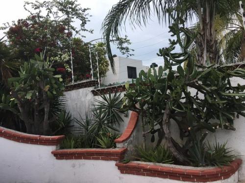 Миссия, объять_всё. 03