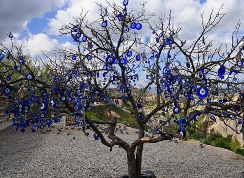 Назар бонджук (тур.