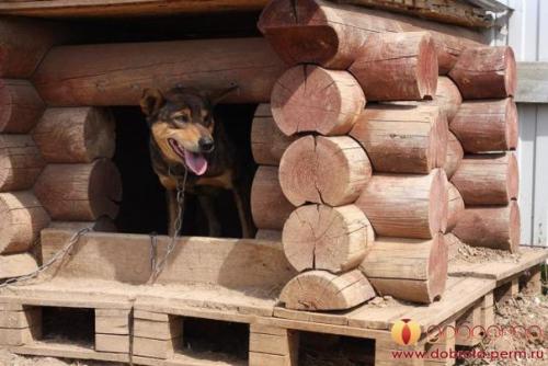 4 часть.  На новом месте. 04