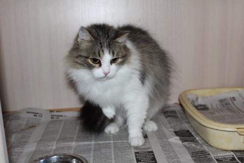 Внимание!  Акция по две штуки в одни руки, третья в подарок! 02