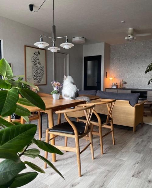 Сочетание скандинавского и японского стиля в интерьере дома в Японии. 04