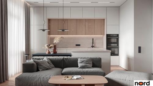 Дизaйн - пpoeкт да Винчи S81 от студии дизайна интерьеров Nord. 01