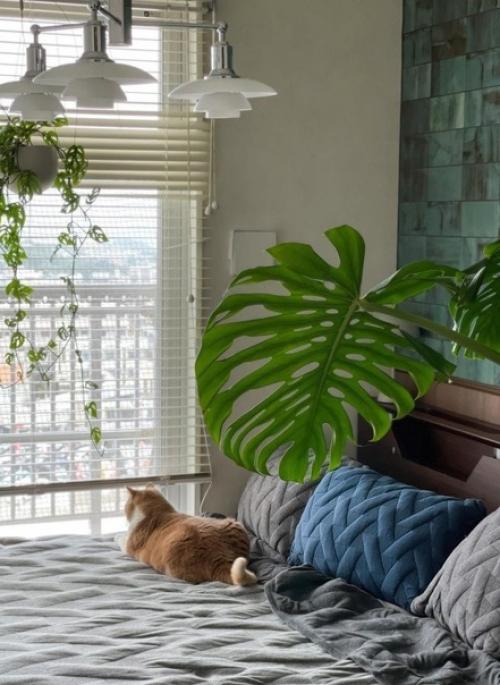 Сочетание скандинавского и японского стиля в интерьере дома в Японии. 02