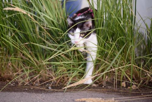 Внимание!  Акция по две штуки в одни руки, третья в подарок! 04