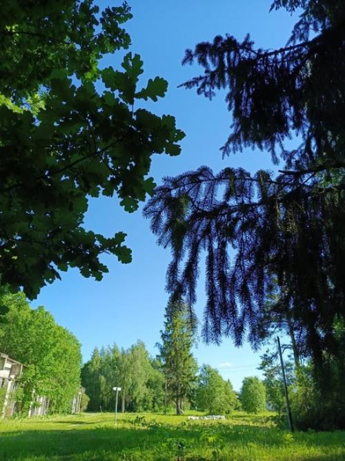 Ну и замечательная живописная усадьба рерихов в Изваре. 03 Ну и замечательная живописная усадьба рерихов в Изваре. 03