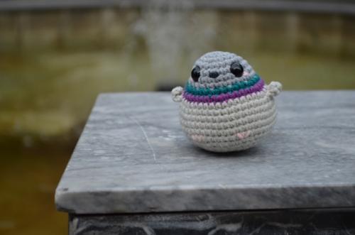 Мне тут московская полочка прислала красивые фото с фотосессии птишек, показываю. 04