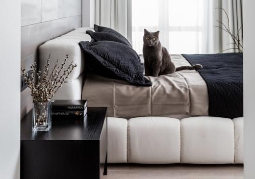 Монохромный лофт в Ростове-на-дону: проект Алексея аладашвили. 01