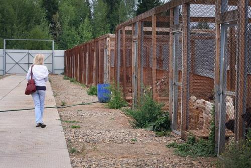 4 часть.  На новом месте. 01