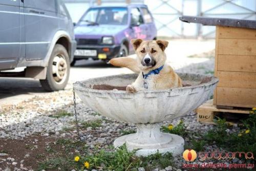 4 часть.  На новом месте. 03