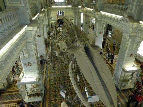 5 музеев с бесплатными днями для посещения. 03