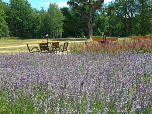 Фантастически красивое место - замок в польской деревне мошна. 09