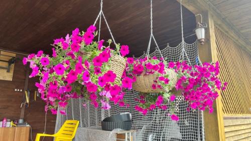 Это вопрос, который задают себе те, кто хочет добавить нотку роскоши и стиля в свой дом или сад. 02 Это вопрос, который задают себе те, кто хочет добавить нотку роскоши и стиля в свой дом или сад. 02